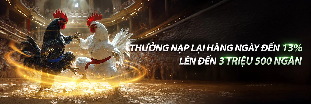 Đá Gà Lông Kịch Tính